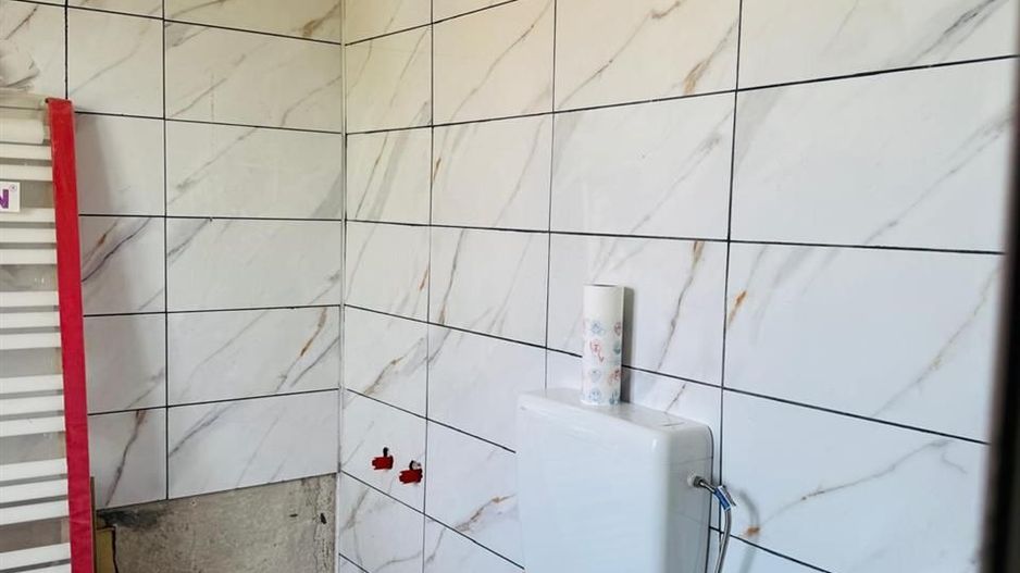 Hala 373 mp + teren in Santaul Mic - Poză 8