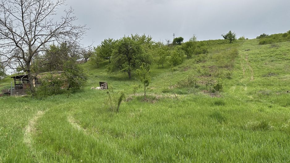 Teren 4062 mp de vanzare in zona Dealuri Oradea - Poză 4