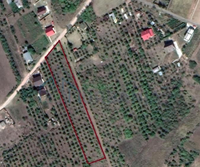 Teren intravilan 5.050 mp Tomesti–Chicerea | P+2E | casa sau parcelare - Poză 2