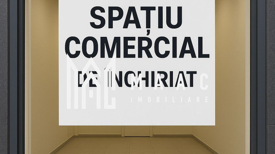 Spațiu  Comerical | 53Mp | Zona Turnișor - Poză 2
