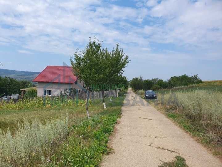 Teren intravilan construibil, 1.219 mp, zona Chicirea/Tomești, 25 euro/mp - Poză 2
