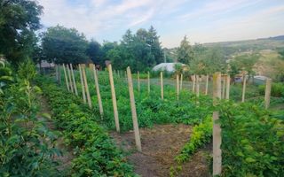 Teren intravilan de 1550 mp în localitatea Buznea, strada Corneliu Coposu - Poză 3