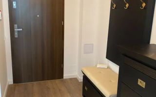 Apartament 1 Camera | 44 Mp | Balcon | Gheorgheni Park Lake Residence - Poză 3