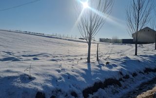 FĂRĂ COMISION | TEREN 6695 MP ÎN ȘURA MARE - Poză 5