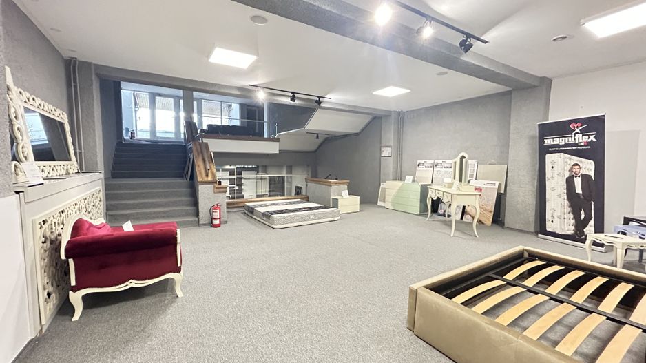 Imobil S+D+P+E+M - Centru - str. Siretului v-a-v de Regina Maria 678mp - Poză 10