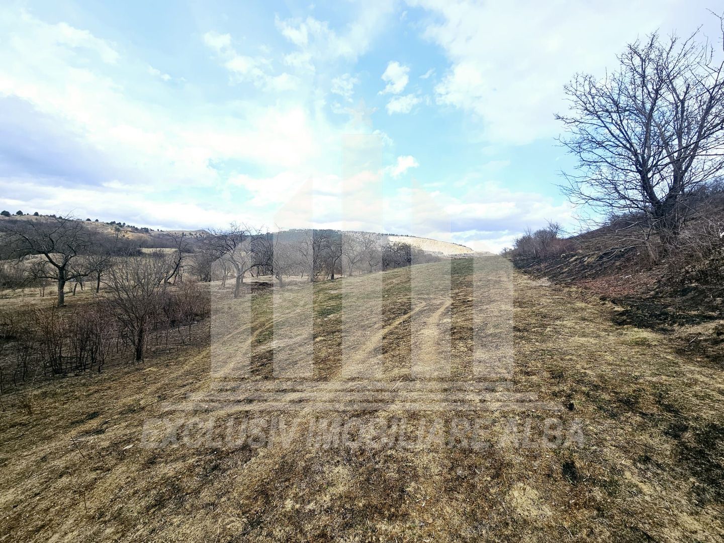 Teren intravilan de vanzare, Geogiu de Sus - Poză 3