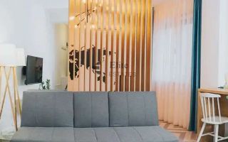 Studio de inchiriat ultracentral în Oradea - Poză 2