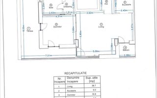 Apartament 2 camere Kiseleff - Poză 9