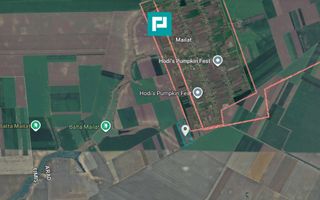 Teren de 8600 Mp2, agricol extravilan, Mailat - Poză 4