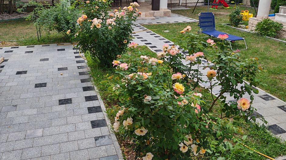 Casă in zona Iosefin - Poză 13