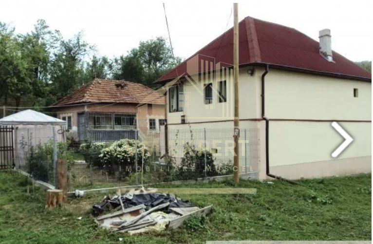 CASA 4 CAMERE, TEREN 8387 MP, POIENARII DE MUSCEL, ARGES - Poză 13