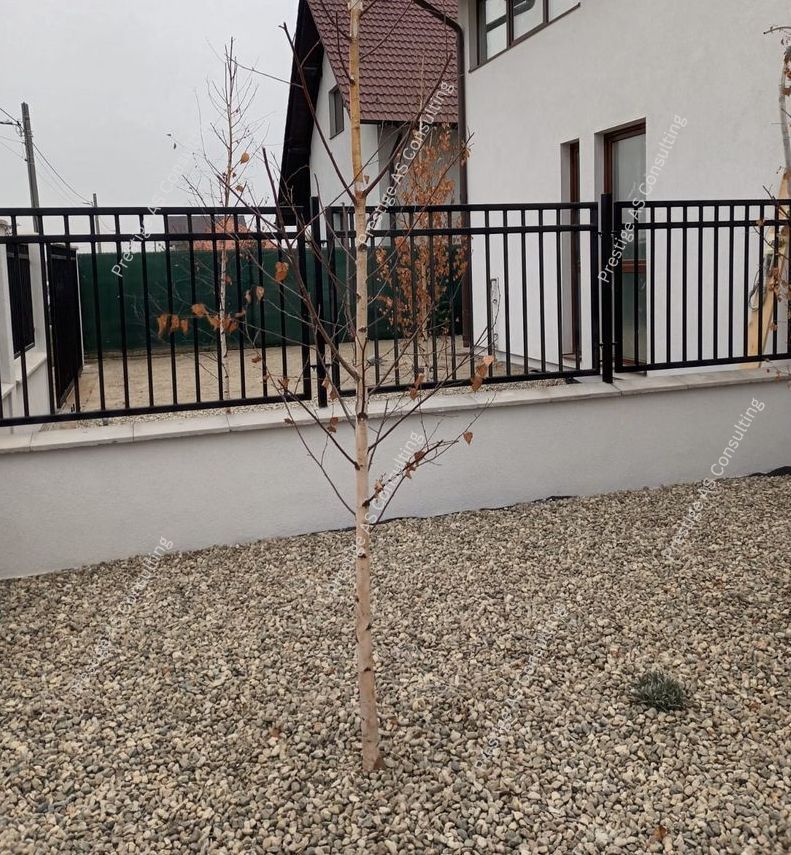 Duplex  4 Camere 250mp Teren| Mosnita Noua-Str Oituz - Poză 4