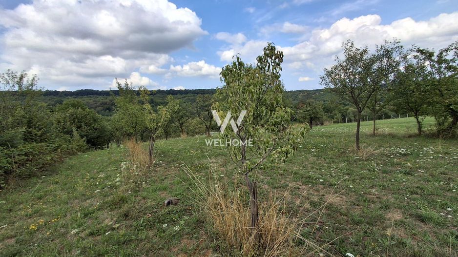 De vânzare teren extravilan în Sibiel, jud. Sibiu – 3223 mp - Poză 6