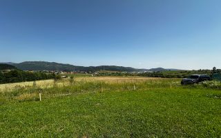 Teren 2432mp Zarnesti - Poză 11
