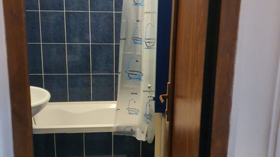 Garsoniera zona Costin Georgian - Lucretiu Patrascanu - Poză 6