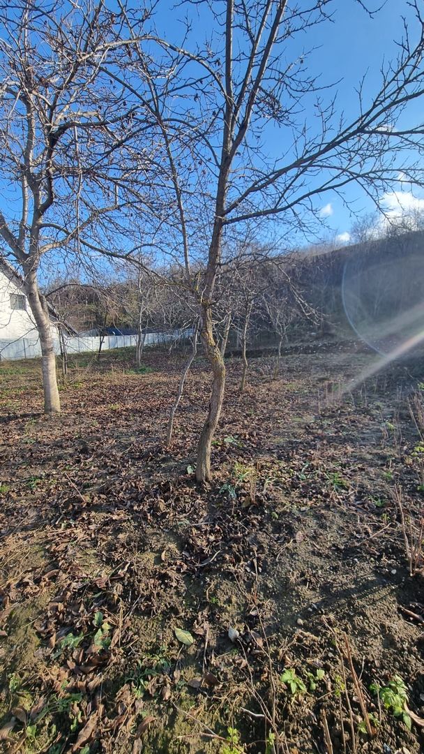 Casa modesta cu teren generos, zona Magura, - Poză 15