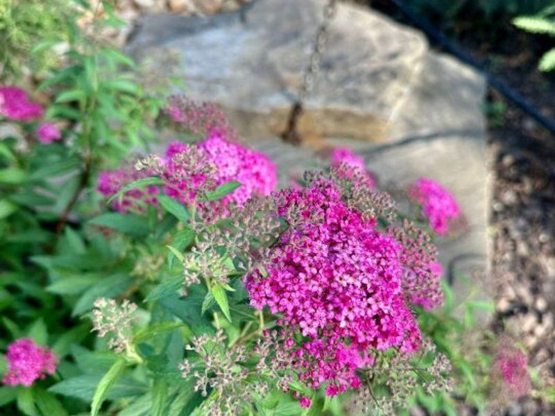 Vila lux de vanzare in cel mai dorit complex din Erou Iancu Nicolae-locatie rara - Poză 41