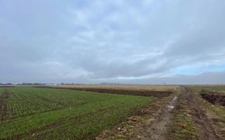 TEREN EXTRAVILAN 13 ARI | FRONT STRADAL 13 M | MARGINEA - Poză 10