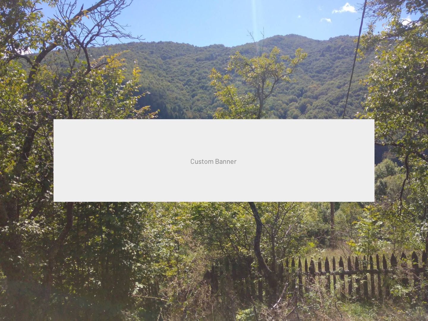 Anunt de test - casa de vanzare - Poză 2