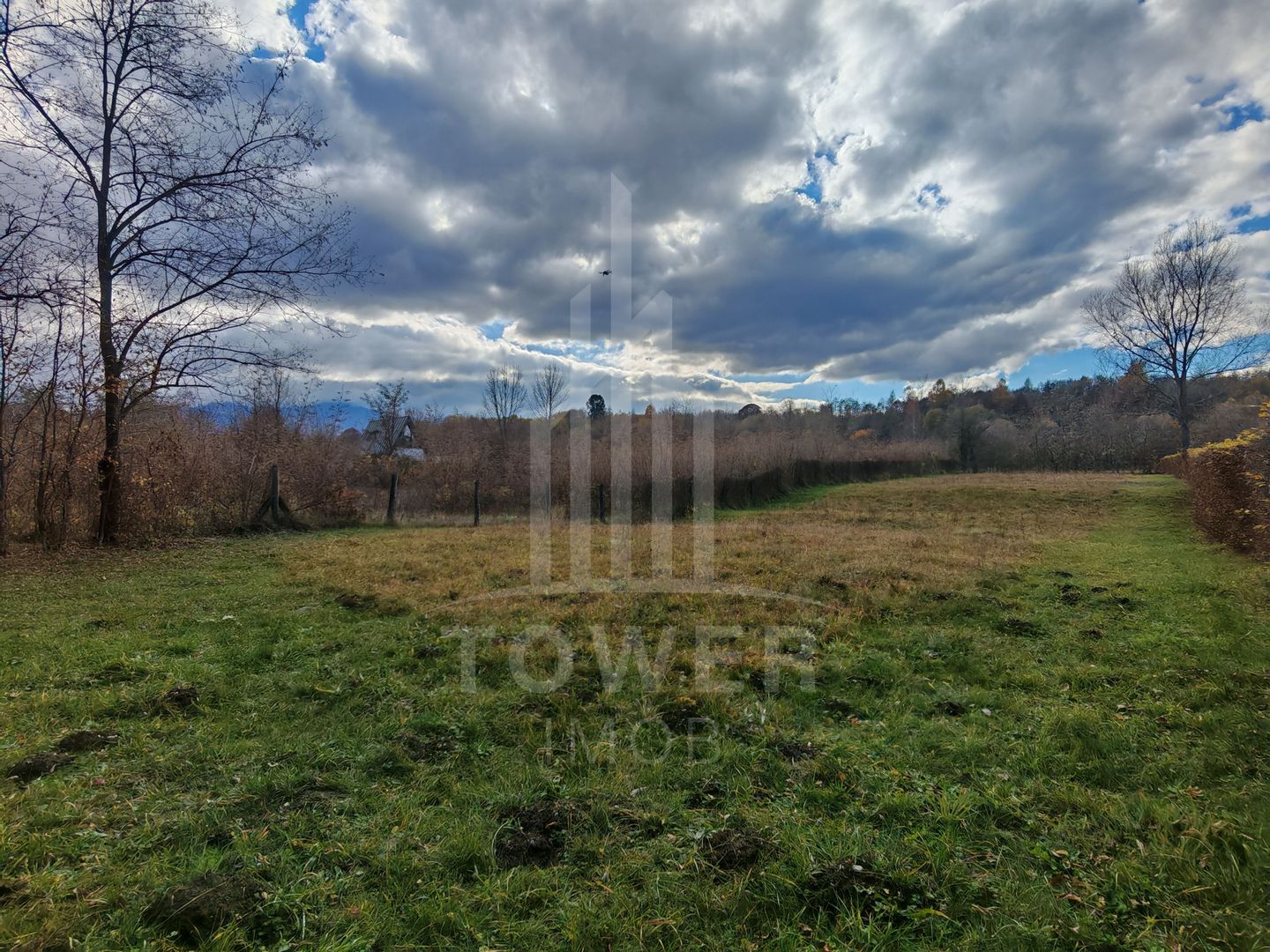 Teren de vanzare în reprezentare exclusivă, situat pe Valea Avrigului! - Poză 3