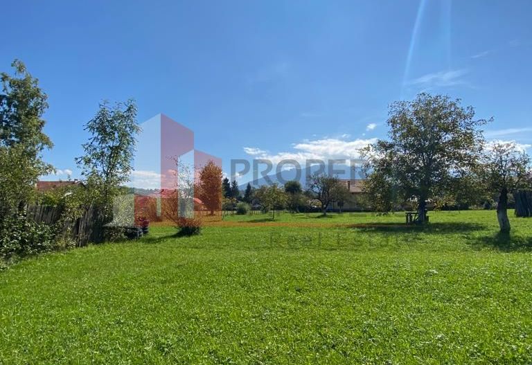 Teren Predelut/Bran 1200 mp - Poză 7
