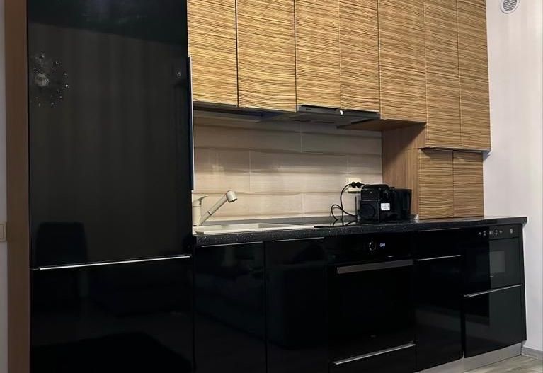 Apartament Lujerului - Poză 9