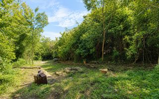 Nu este doar o vilă. Este refugiul tău verde cu 38 ari și pădurice proprie! - Poză 7