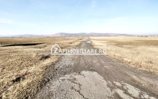 Teren intravilan 20.347 mp in Ungheni - Poză 3