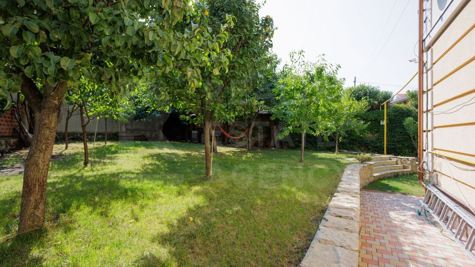 Chirie, casă, 6 camere, Strada Trifan Baltă, Centru - Poză 5