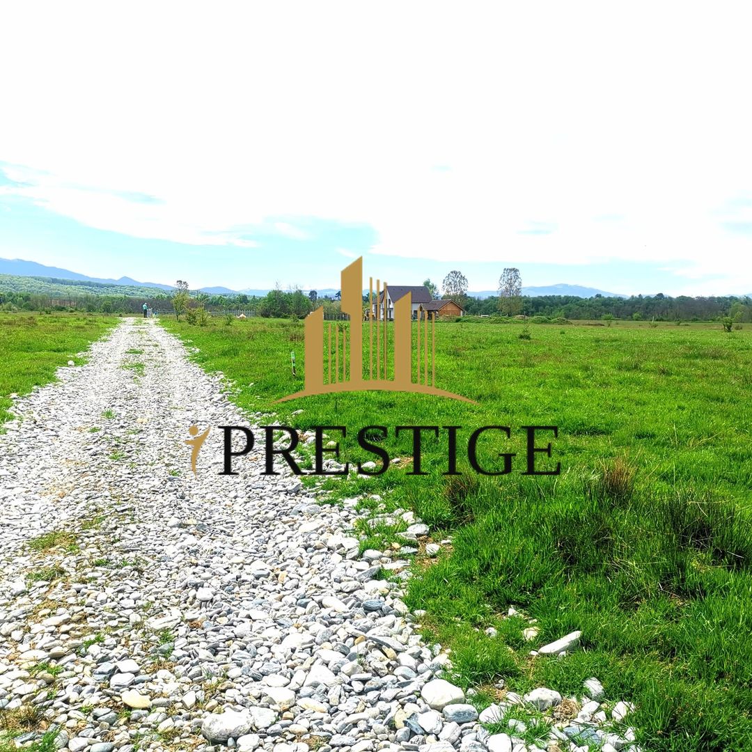 Teren Valea Avrigului – 1.000 mp | 1 km Dino Park | 25 €/mp - Poză 6