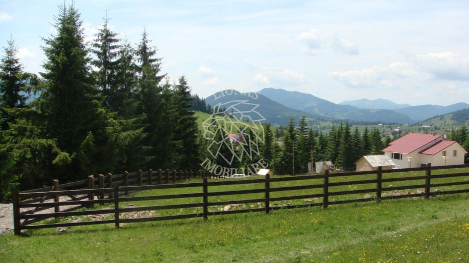 Teren intravilan 900 mp si 1102 mp-ideal cabana-Piatra Fantanele - Poză 1