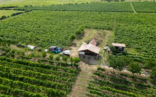 Vie Tradițională „Halta Lupilor” - Poză 40