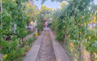 Casa individuala cu teren de 638 mp - zona Giroc - Poză 2
