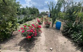 Casă de vânzare în Focșani – ideală pentru locuit sau investiție! - Poză 8