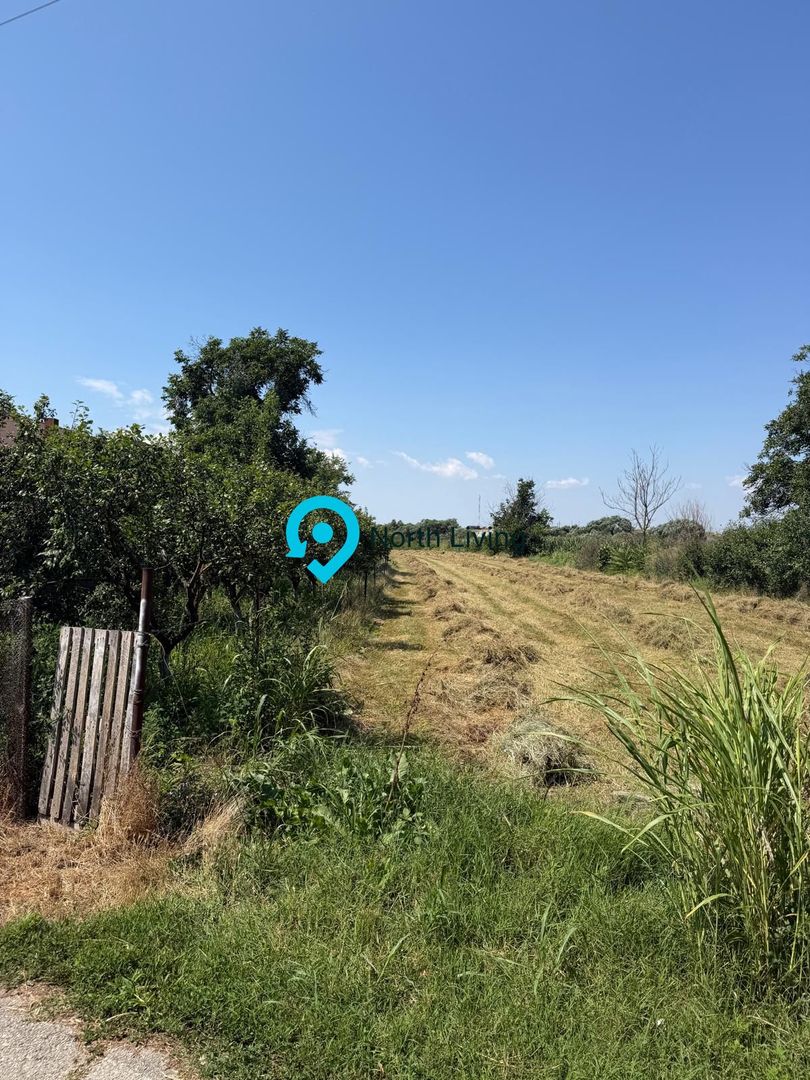 Teren intravilan 4.000 mp Comana (Budeni) | 10 €/mp negociabil | Comis - Poză 8