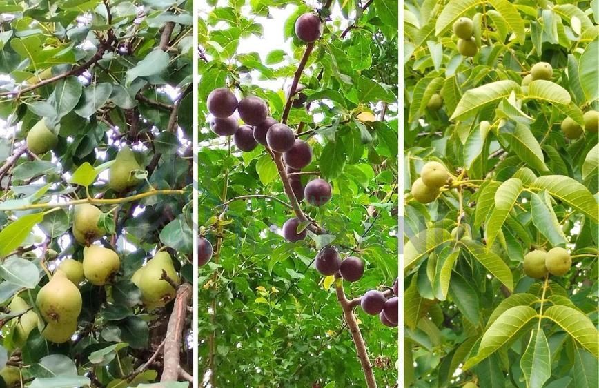 🏡 Casă de vânzare – 106 mp utili, teren 2700 mp – capăt Copou, Iași - Poză 3