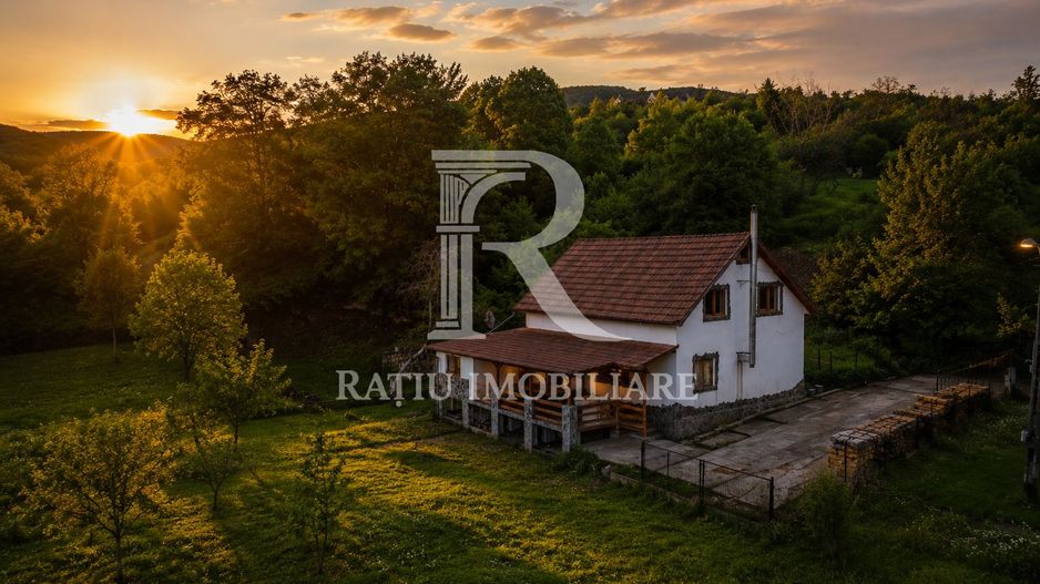 Proprietate Unică în Natură | Teren Mare + Intimitate Totală - Poză 1