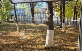 Aprtament 2 cam Mobilat-Utilat - Poză 10