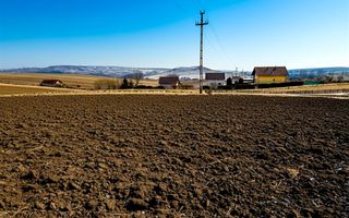 Teren 991 MP | Moara Carp | 22 ml Deschidere | Utilități | 38.000 € - Poză 5