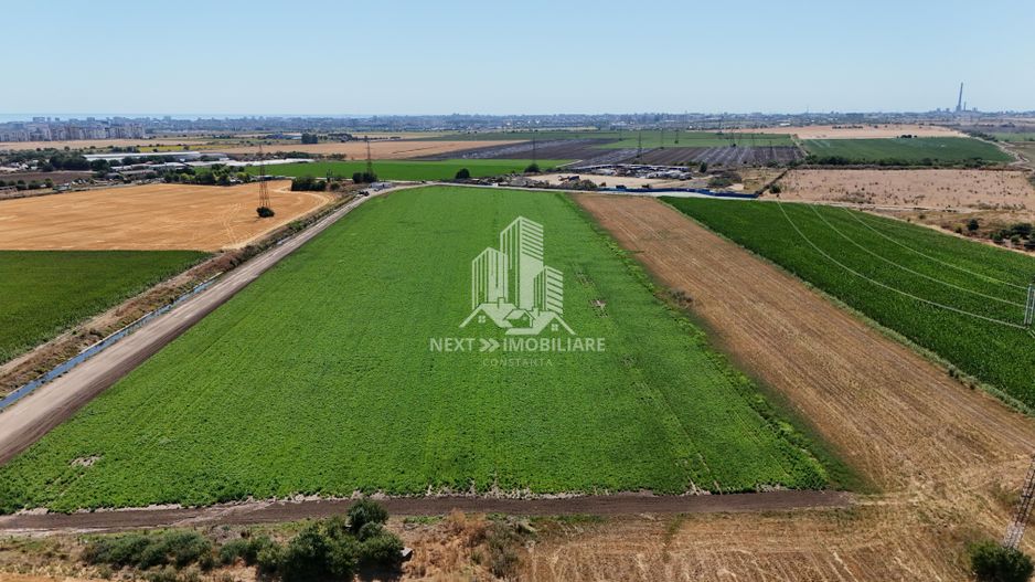 Teren extravilan 28.405mp Poiana - Poză 4