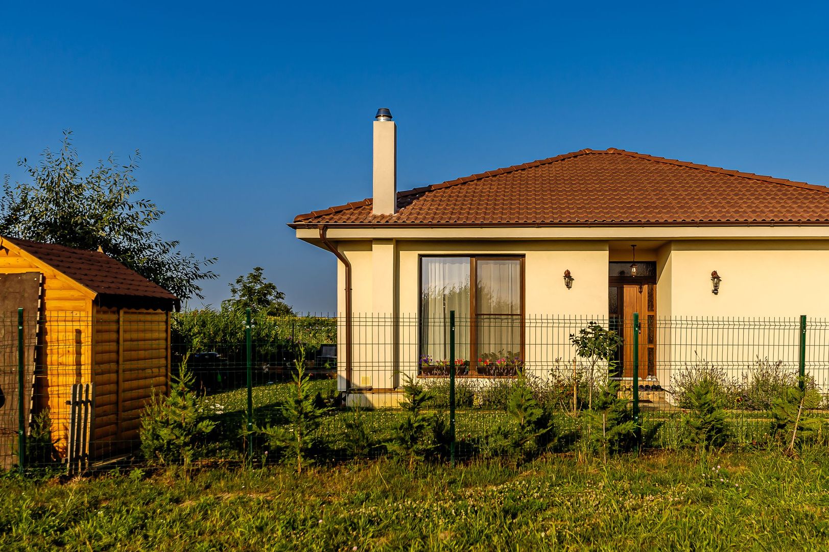 Finberg Residence Arad - Poză 4