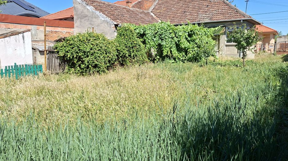 BRASADAS vinde casa 3 cam cu teren 5 ari in 14 Mai. - Poză 4