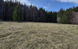 Teren intravilan la baza pădurii Valea Doftanei sat Traisteni (poduri) - Poză 13