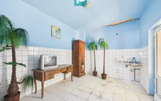 Casa cu multiple destinatii in Galsa - Poză 21