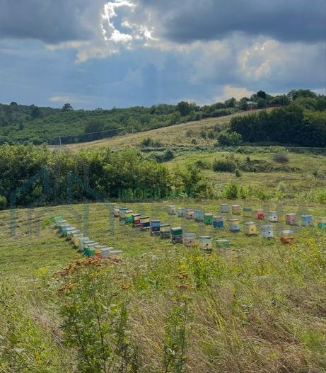 De vanzare teren in comuna schitu duca cu iaz de peste si salcami - Poză 2