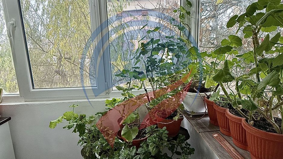 Apartament 2 camere/de vanzare/Calea Severinului - Poză 14