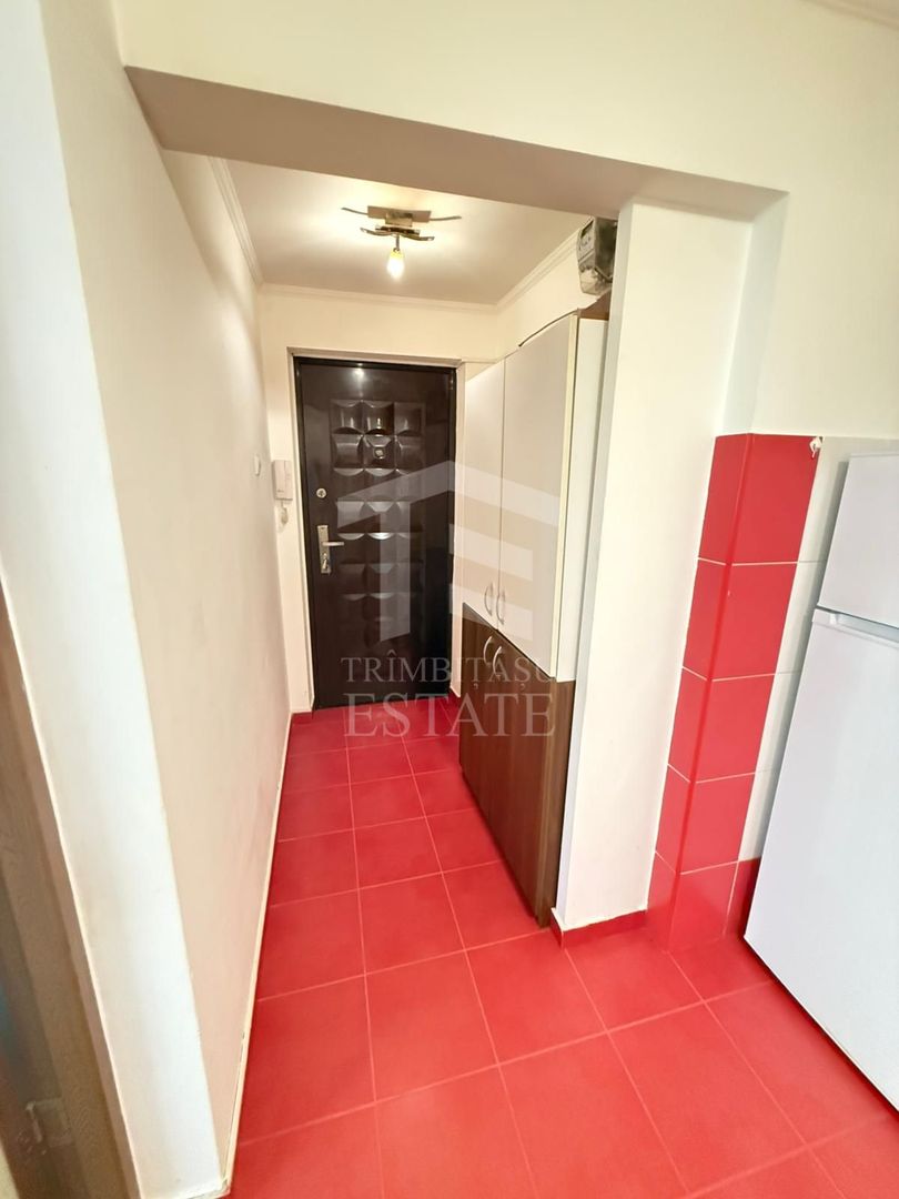 Apartament 2 Camere Teiul Doamnei Lacul Tei - Poză 10