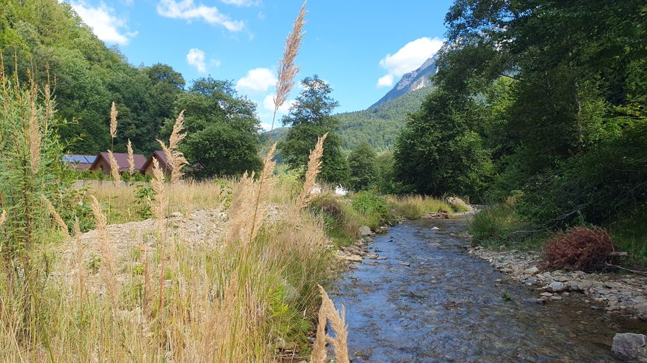 Superb!Zarnesti, Piatra Craiului, teren intravilan 1000mp, acces direct  la rau - Poză 9