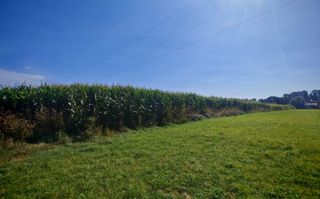 Teren generos | 45 Ari | Utilități în zonă | Deschidere la drum - Poză 7