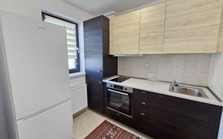 Apartament cu o camera de inchiriat, Hils Pallady - Poză 3